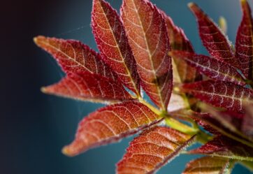 Photo by Neil Harvey on Unsplash