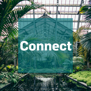 Connect